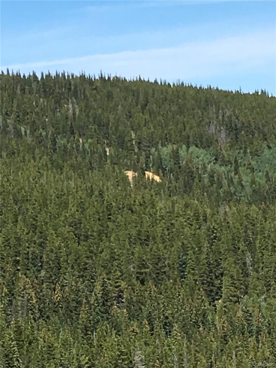 411 Forest Service Road Black Hawk, CO 80422 - Photo 18 of 27 Gallery Image 18