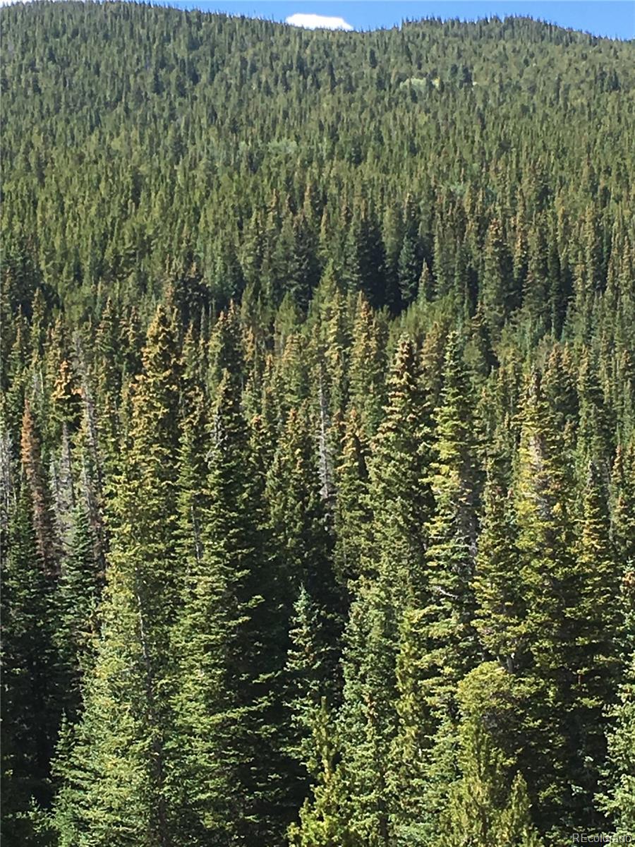 411 Forest Service Road Black Hawk, CO 80422 - Photo 19 of 27 Gallery Image 19