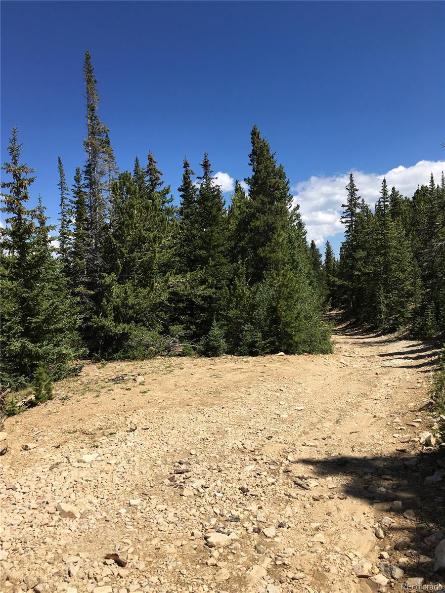411 Forest Service Road Black Hawk, CO 80422 - Photo 2 of 27 Gallery Image 2