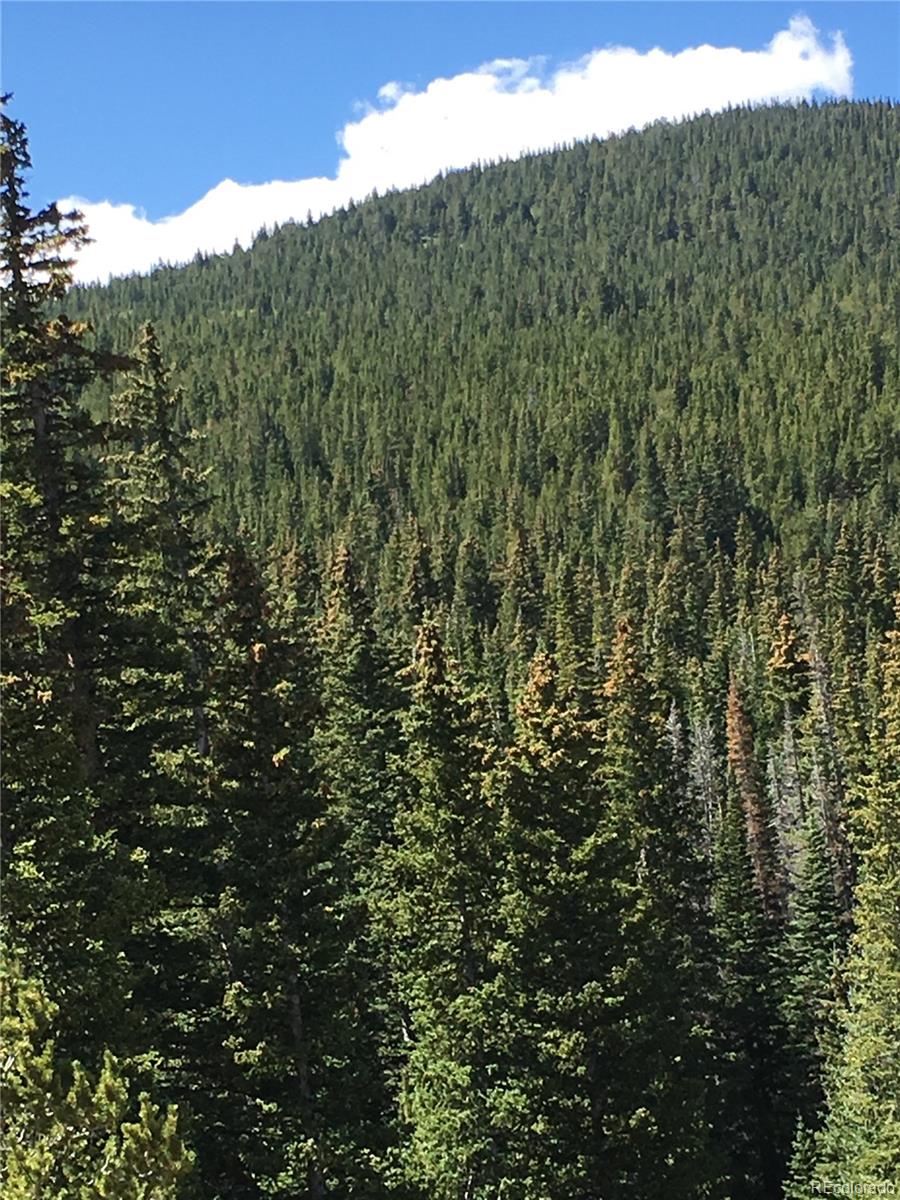 411 Forest Service Road Black Hawk, CO 80422 - Photo 21 of 27 Gallery Image 21