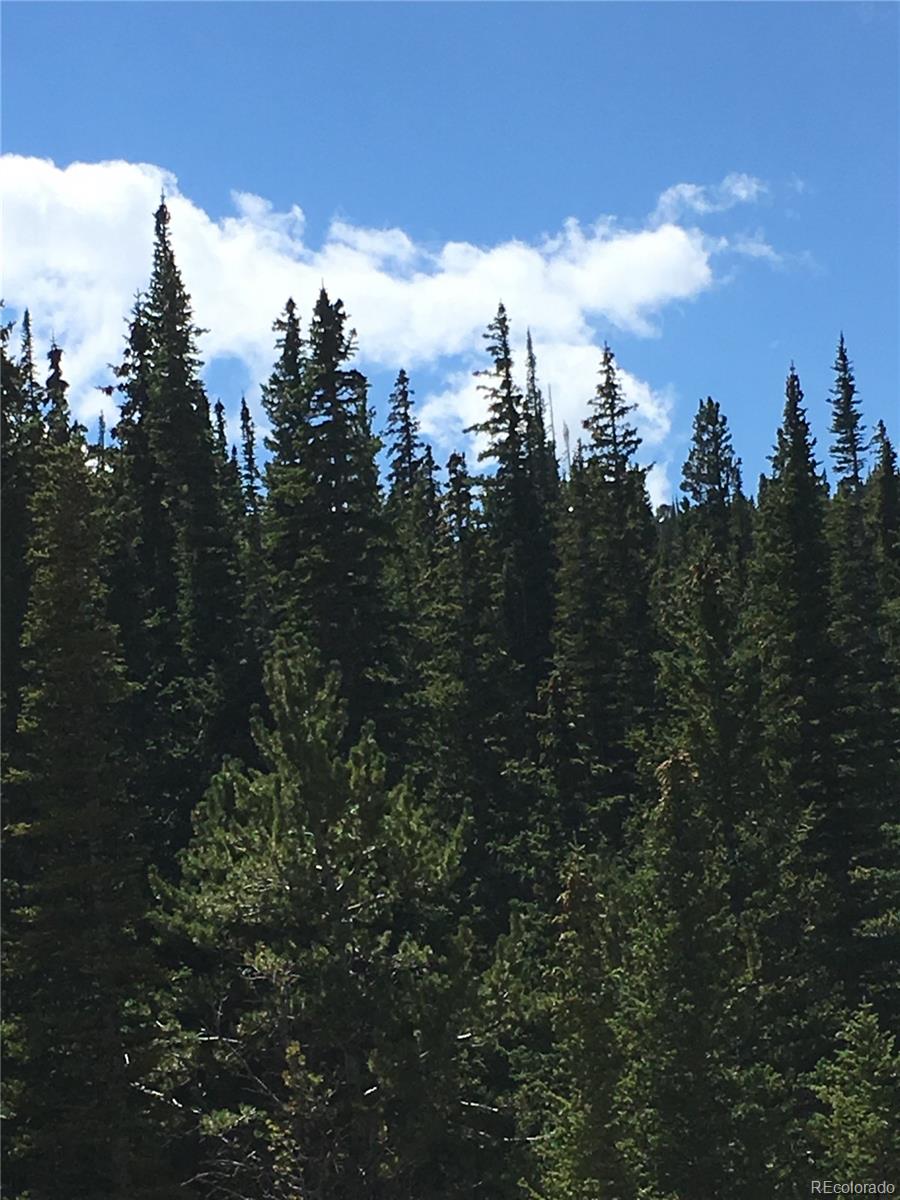 411 Forest Service Road Black Hawk, CO 80422 - Photo 22 of 27 Gallery Image 22