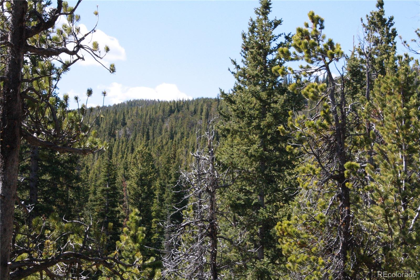 411 Forest Service Road Black Hawk, CO 80422 - Photo 23 of 27 Gallery Image 23