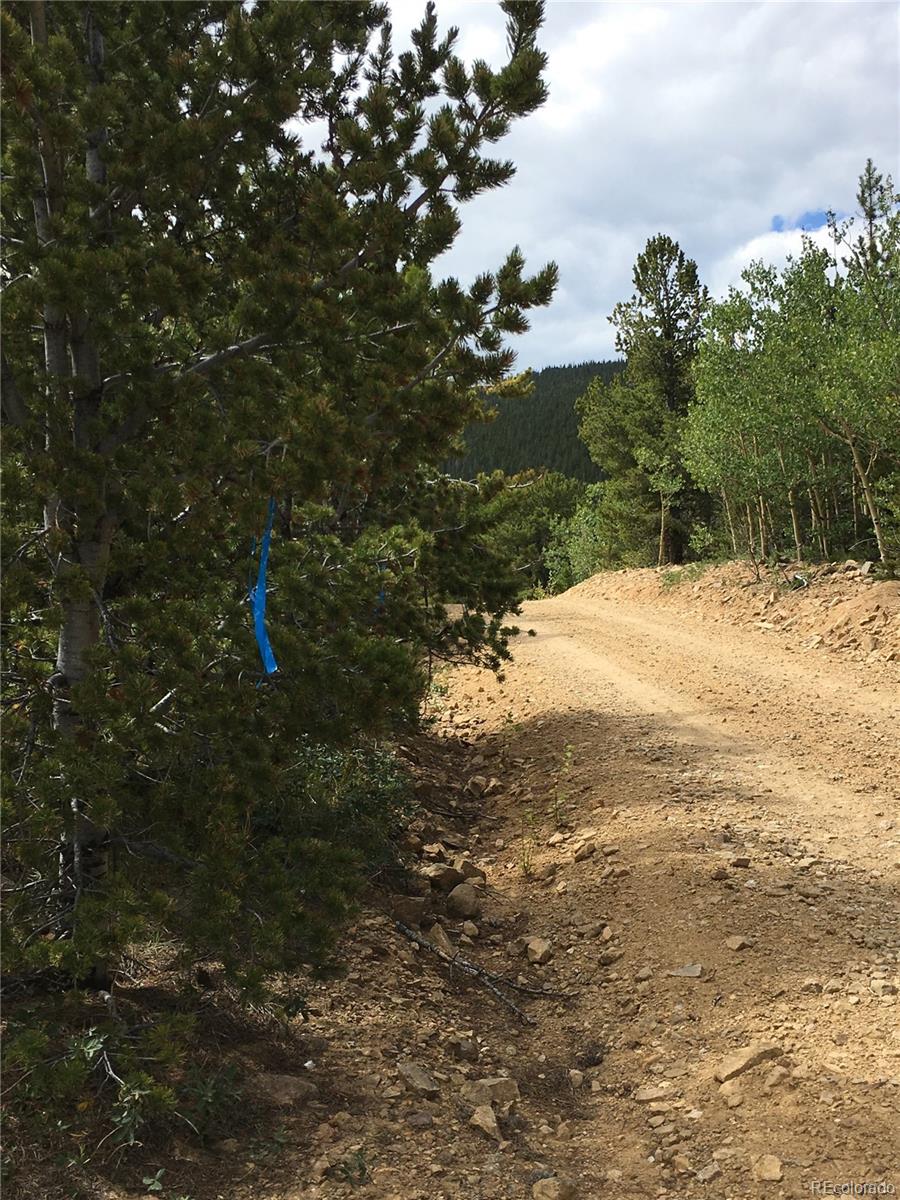 411 Forest Service Road Black Hawk, CO 80422 - Photo 25 of 27 Gallery Image 25