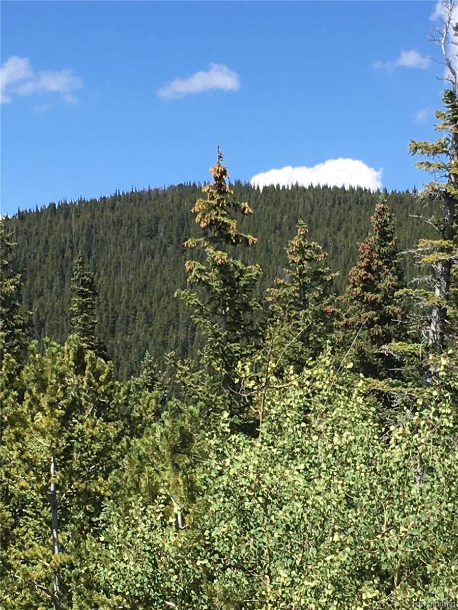 411 Forest Service Road Black Hawk, CO 80422 - Photo 3 of 27 Gallery Image 3