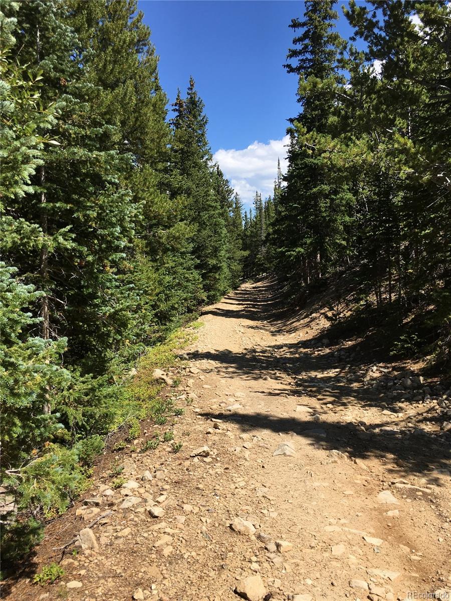 411 Forest Service Road Black Hawk, CO 80422 - Photo 4 of 27 Gallery Image 4