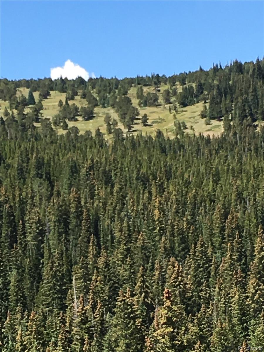 411 Forest Service Road Black Hawk, CO 80422 - Photo 6 of 27 Gallery Image 6