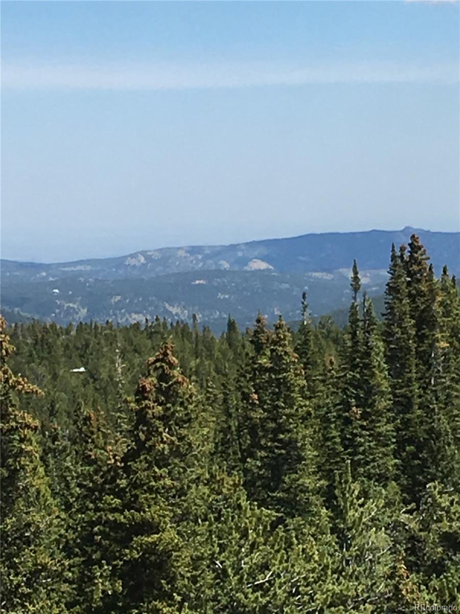 411 Forest Service Road Black Hawk, CO 80422 - Photo 8 of 27 Gallery Image 8