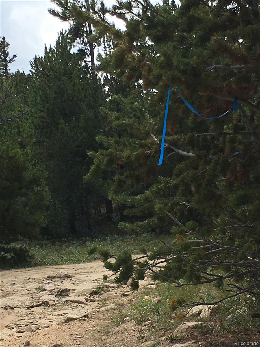 411 Forest Service Road Black Hawk, CO 80422 - Photo 9 of 27 Gallery Image 9