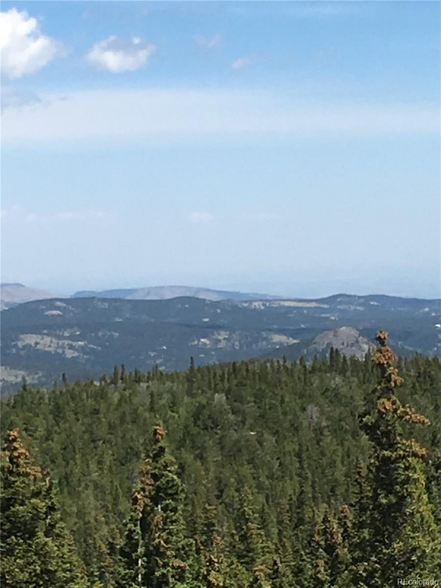 411 Forest Service Road Black Hawk, CO 80422 - Photo 10 of 27 Gallery Image 10