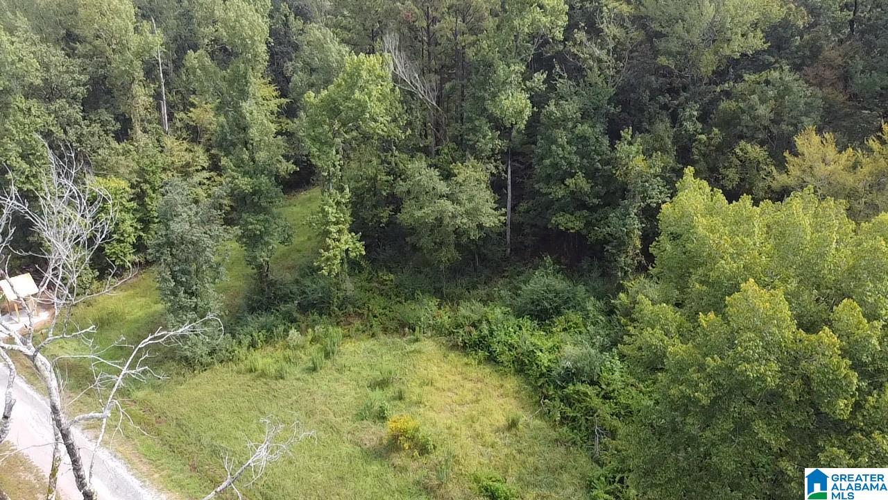 58 Rustic Oaks Drive Sterrett, AL 35147 - Photo 4 of 30