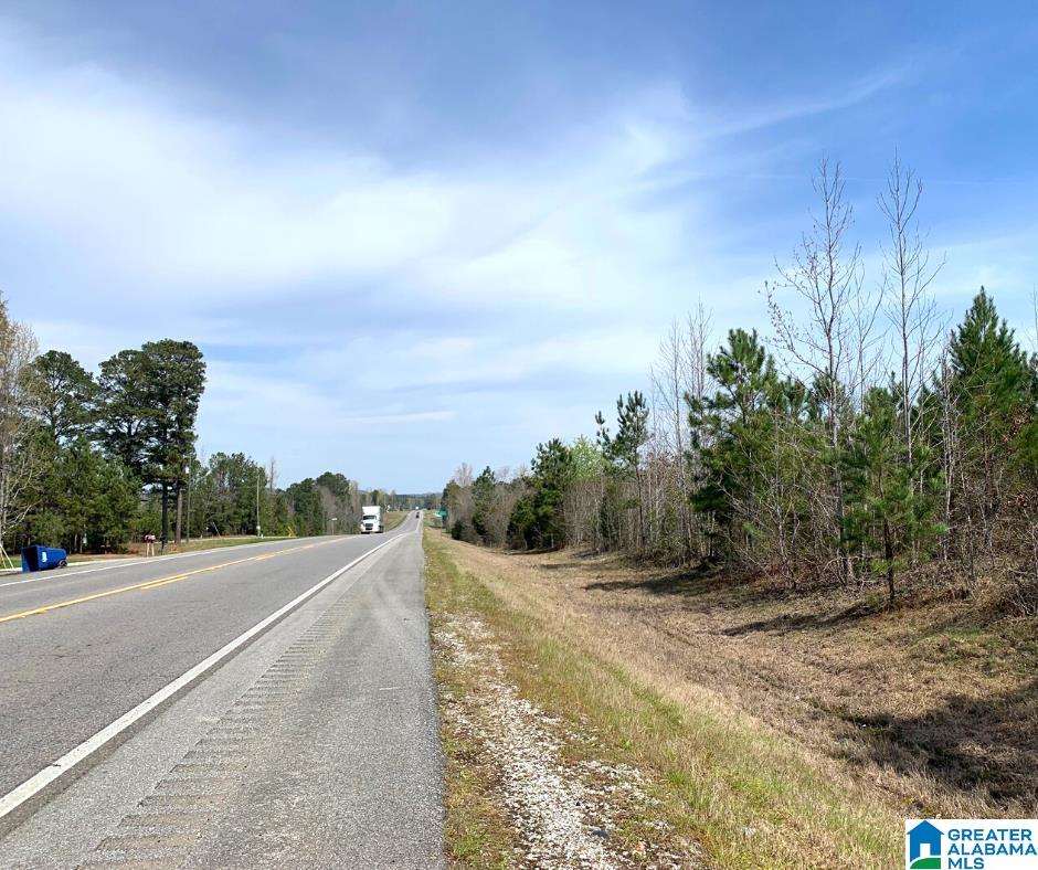 352 Daniel Road, Unit 97 17 ACRES Ohatchee, AL 36271 - Photo 13 of 17