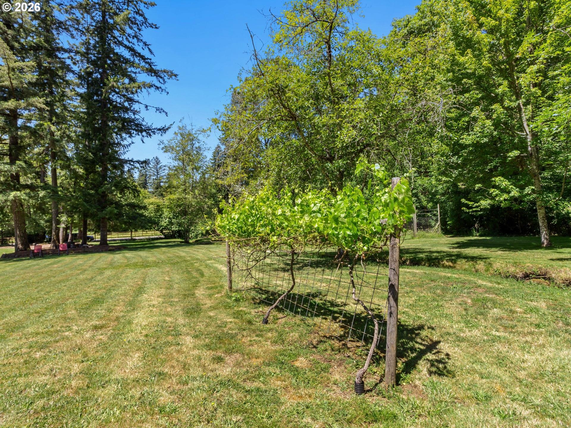 22905 Northeast Canyon Road Battle Ground, WA 98604 - Photo 41 of 48