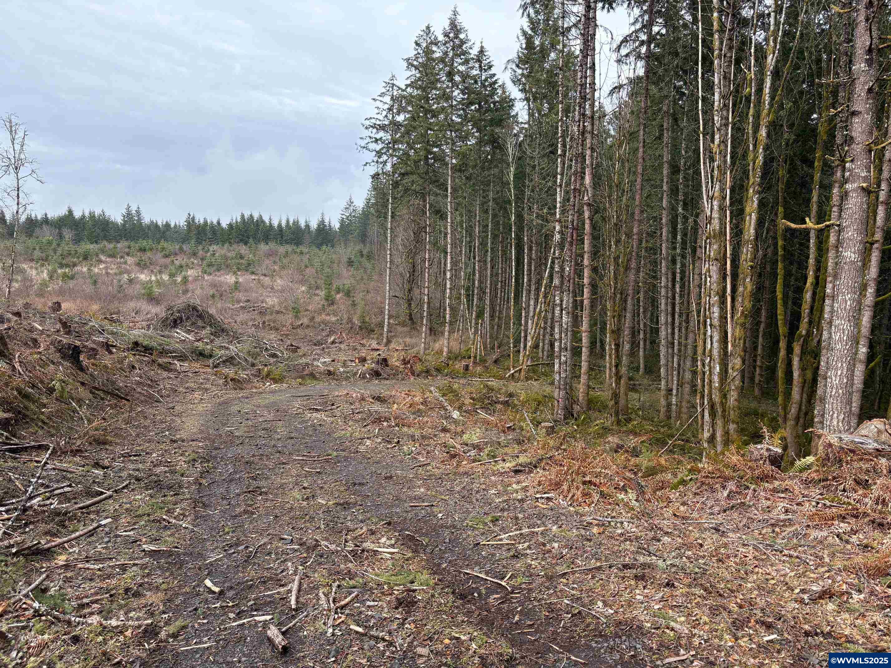 0 South Hardy Road Molalla, OR 97038 - Photo 22 of 26