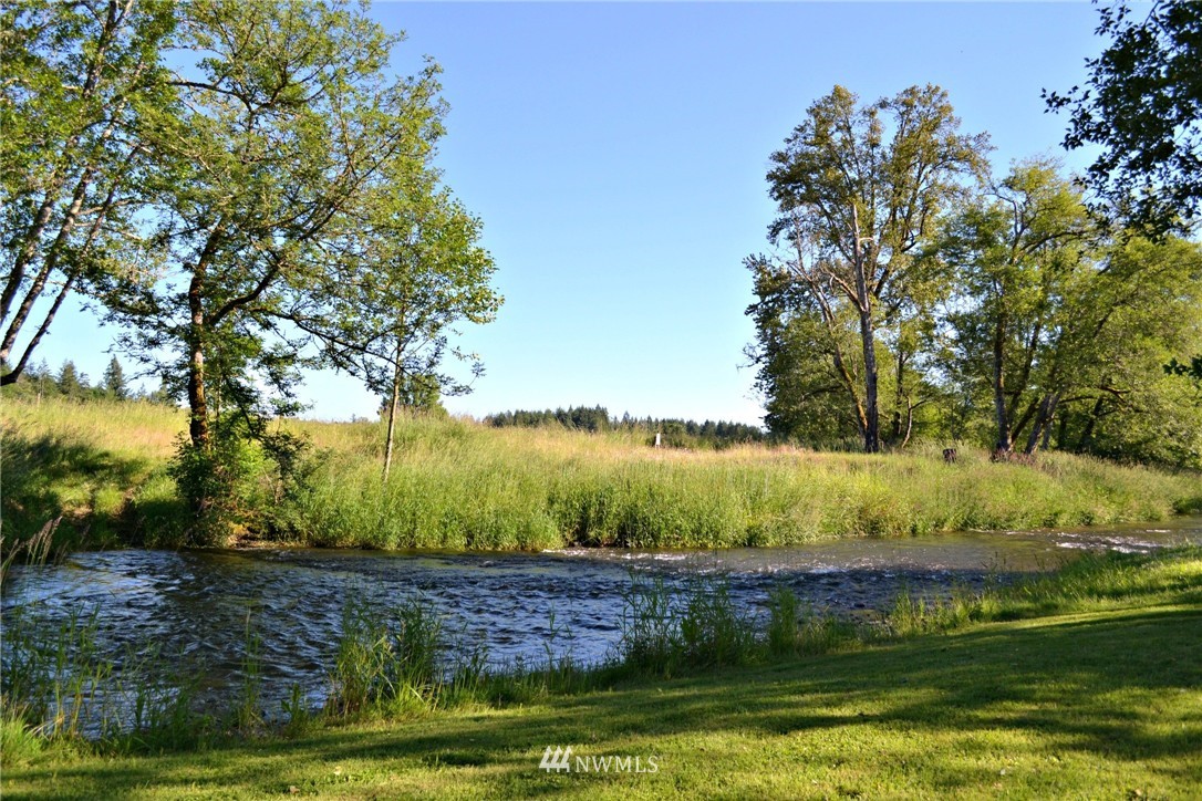 1462 North Fork Road Chehalis, WA 98532 - Photo 16 of 23 a view of a lake with a big yard
