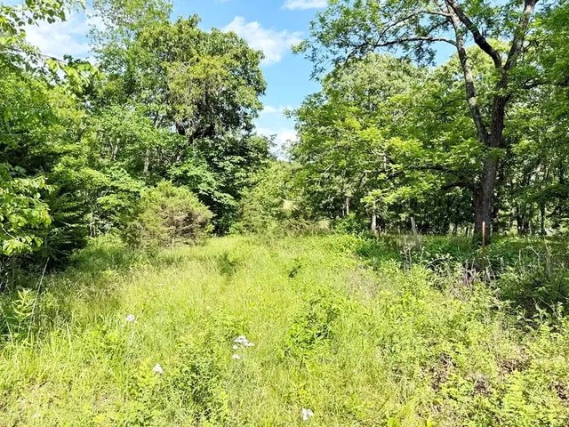 $280,000 | Tbd East 500 Road, Humansville, MO 65674