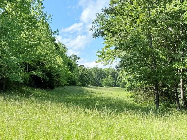 $280,000 | Tbd East 500 Road, Humansville, MO 65674