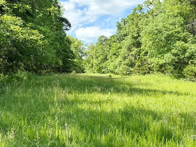 $280,000 | Tbd East 500 Road, Humansville, MO 65674