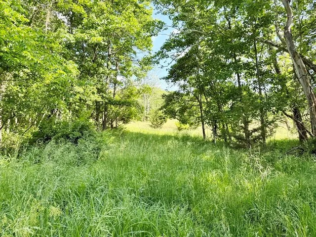 $280,000 | Tbd East 500 Road, Humansville, MO 65674