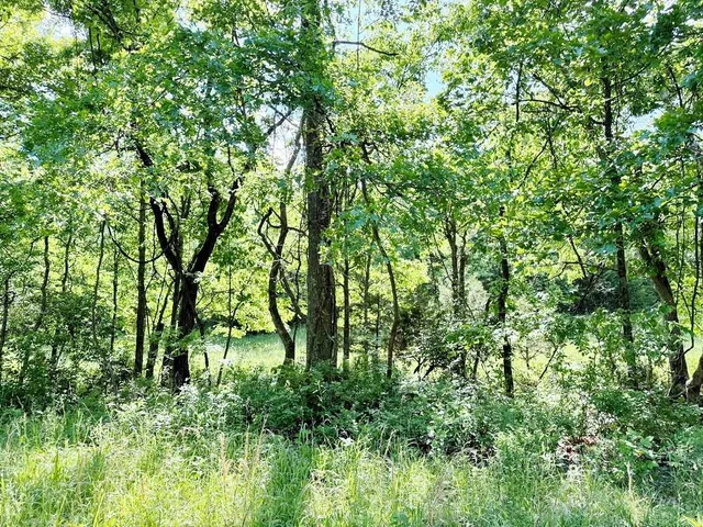 $280,000 | Tbd East 500 Road, Humansville, MO 65674