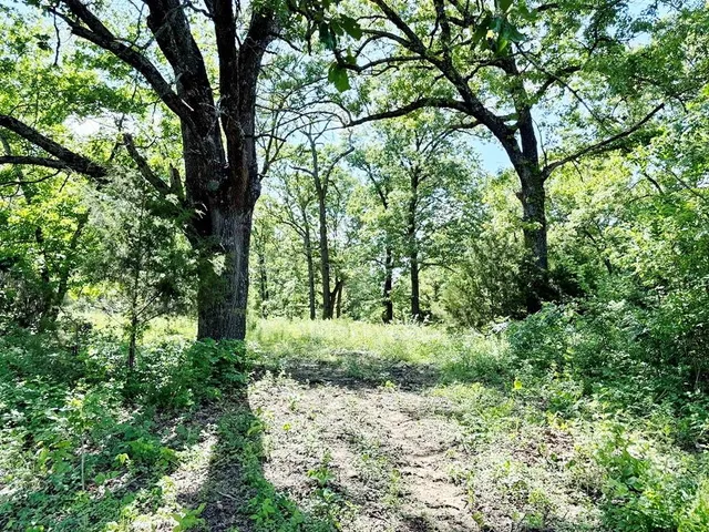 $280,000 | Tbd East 500 Road, Humansville, MO 65674