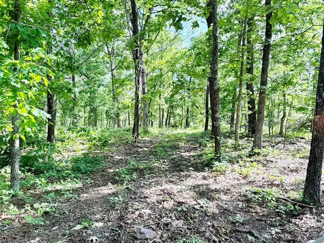 $280,000 | Tbd East 500 Road, Humansville, MO 65674