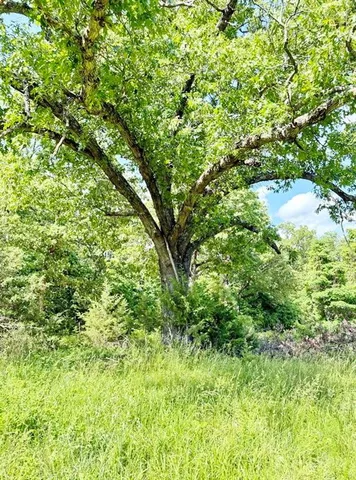 $280,000 | Tbd East 500 Road, Humansville, MO 65674