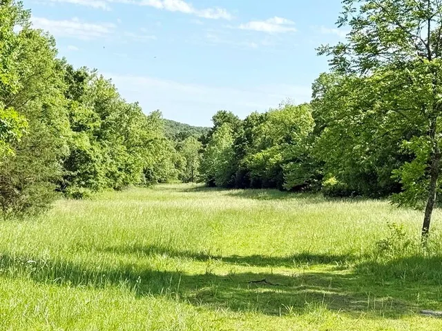 $280,000 | Tbd East 500 Road, Humansville, MO 65674