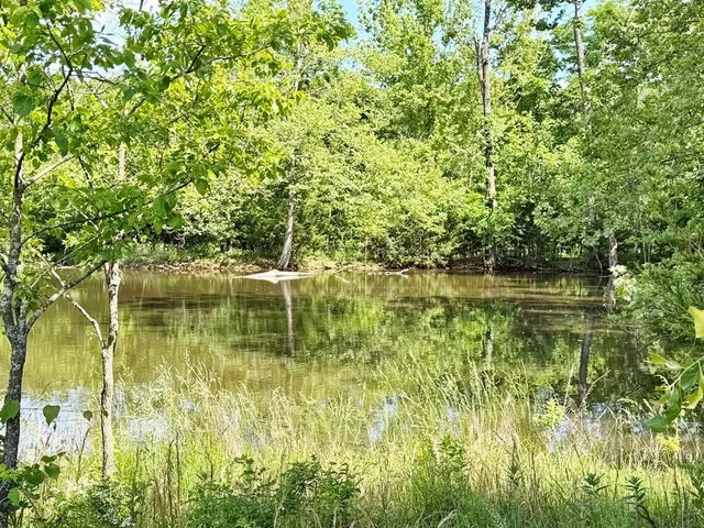 $280,000 | Tbd East 500 Road, Humansville, MO 65674