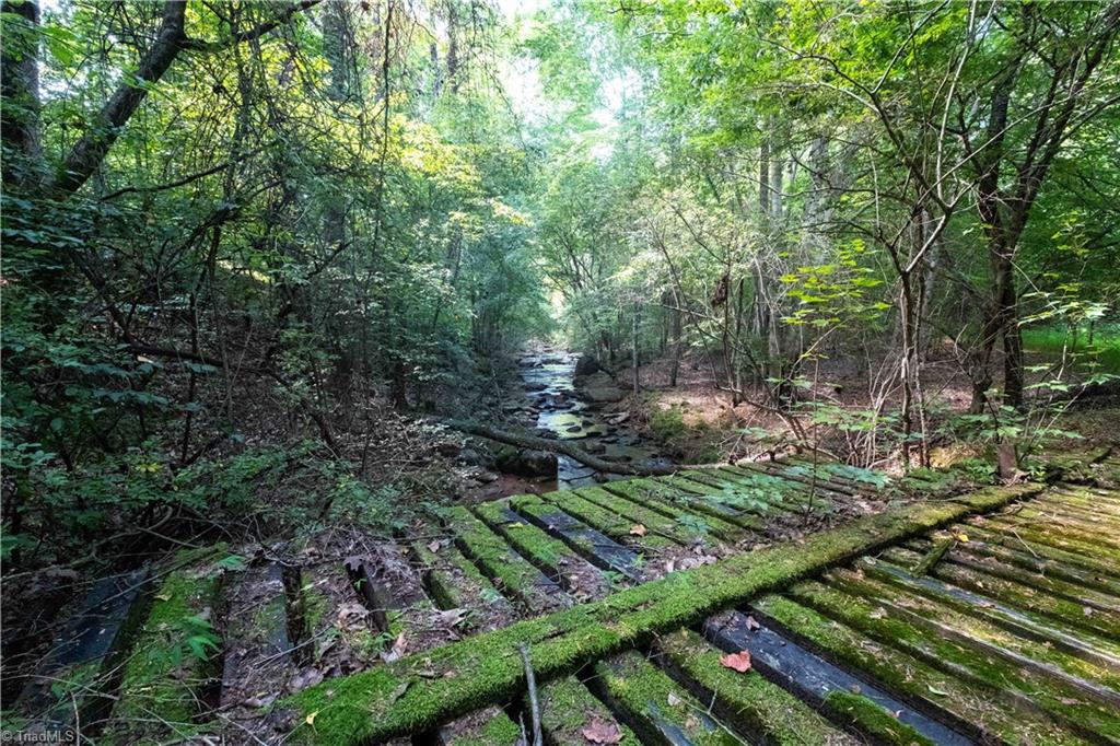 12604 Highway 268 Elkin, NC 28621 - Photo 4 of 15