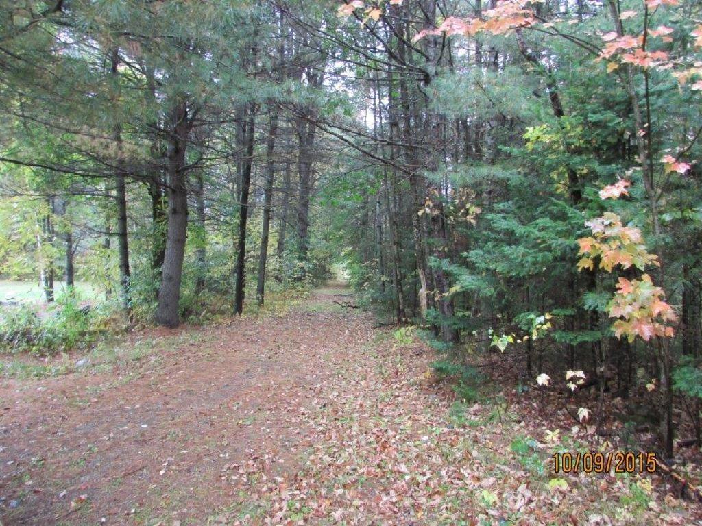 7 Rines Road Burnham, ME 04922 - Photo 31 of 32 Row to front acreage