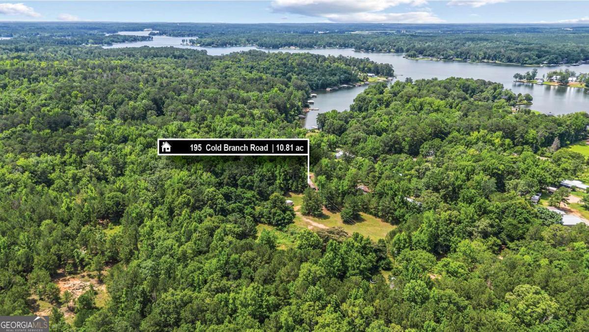 195 Cold Branch Road Eatonton, GA 31024 - Photo 4 of 24