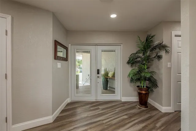 an empty room with window and a potted plant