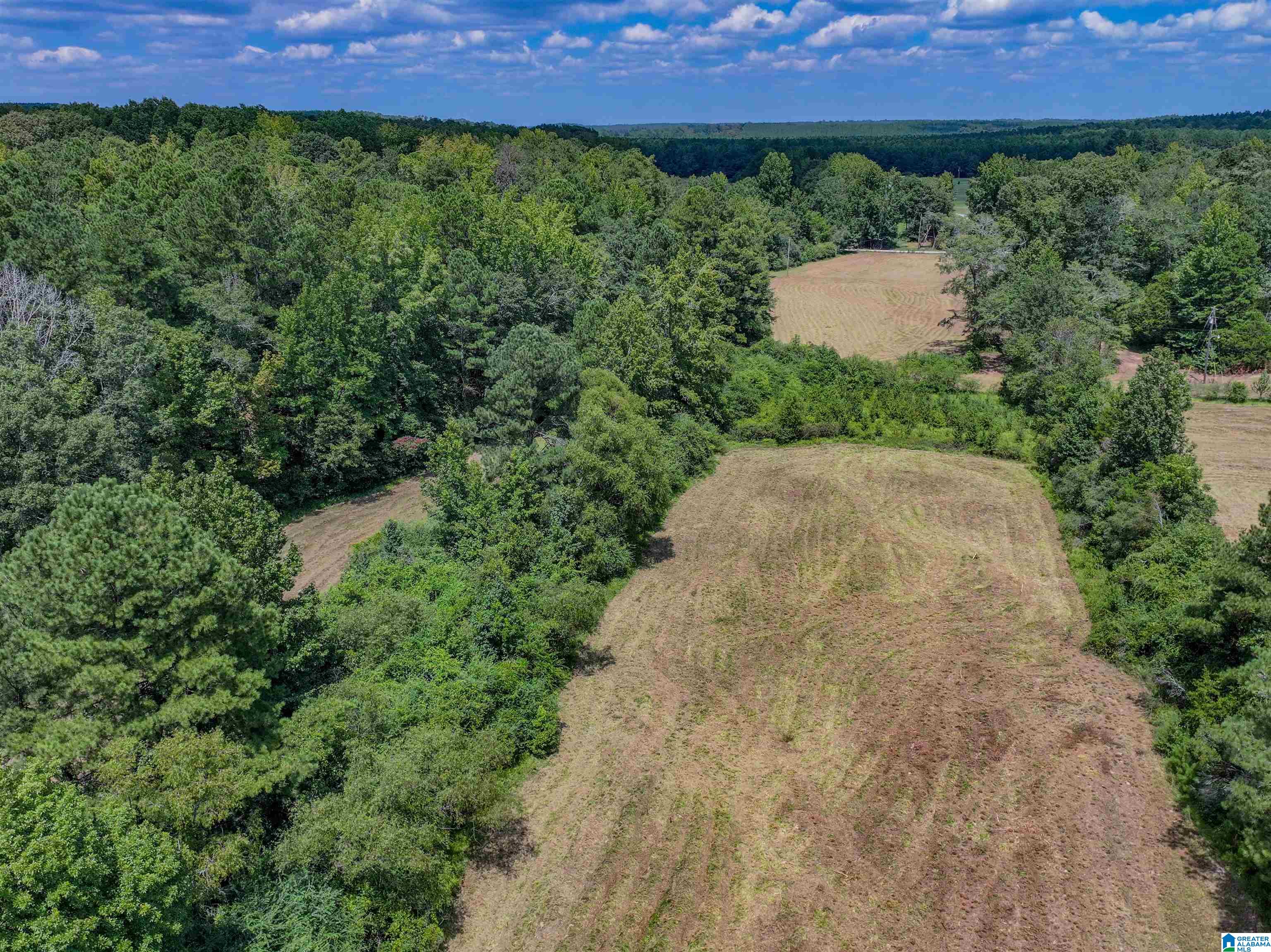 11643 Carter Road Vance, AL 35490 - Photo 6 of 10