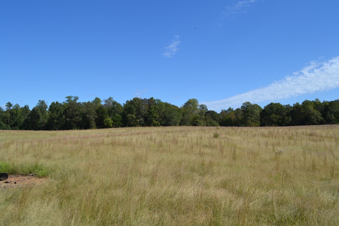 4 Hayes Ridge Road Indian Mound, TN 37079 - Photo 1 of 12 Gallery Image 1