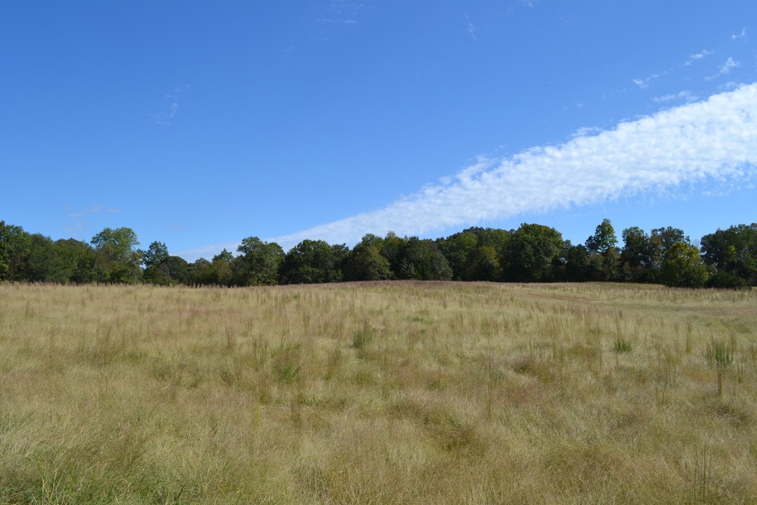 4 Hayes Ridge Road Indian Mound, TN 37079 - Photo 2 of 12 Gallery Image 2