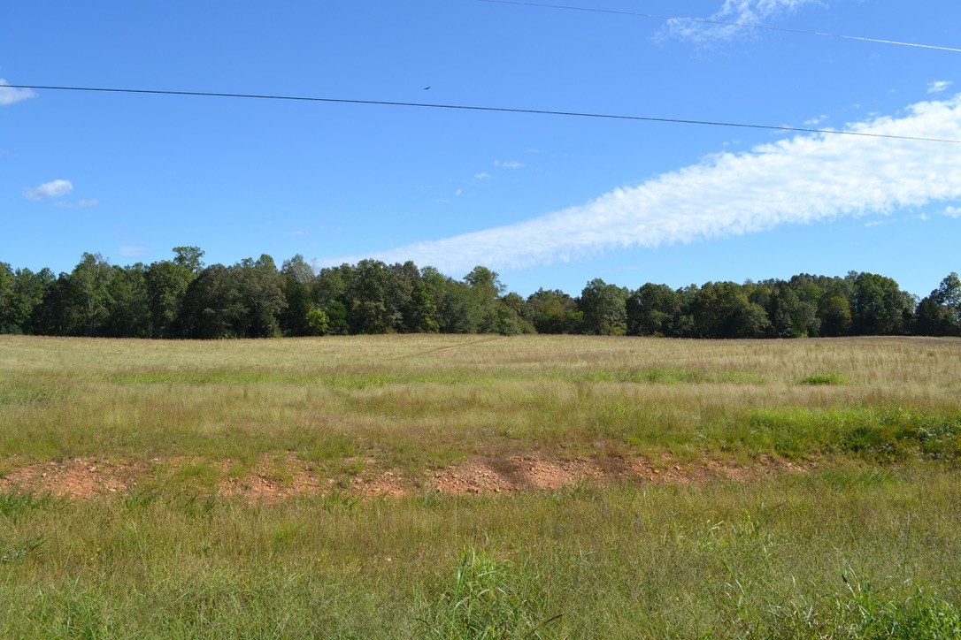 4 Hayes Ridge Road Indian Mound, TN 37079 - Photo 3 of 12 Gallery Image 3
