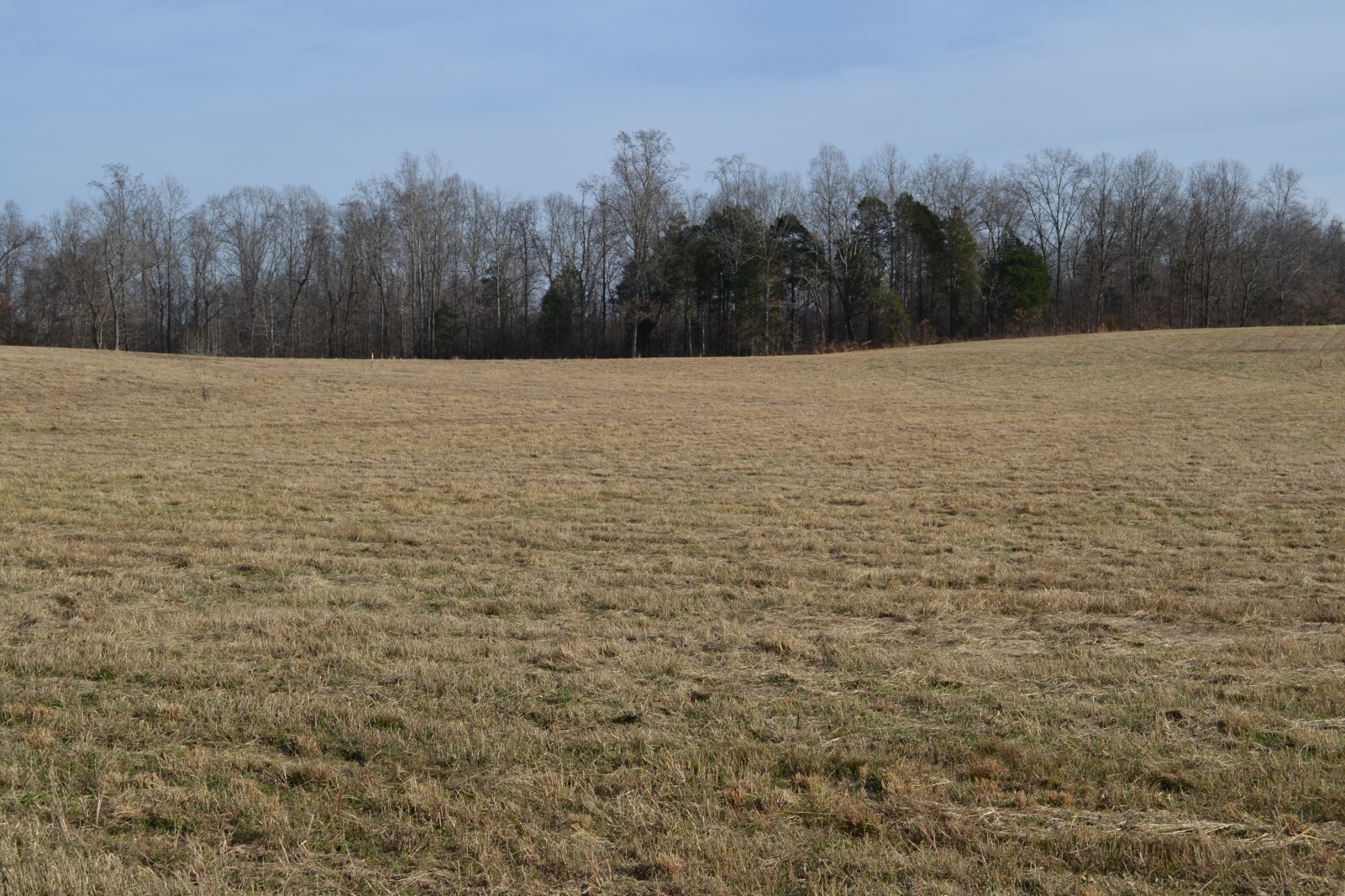 4 Hayes Ridge Road Indian Mound, TN 37079 - Photo 4 of 12 Gallery Image 4