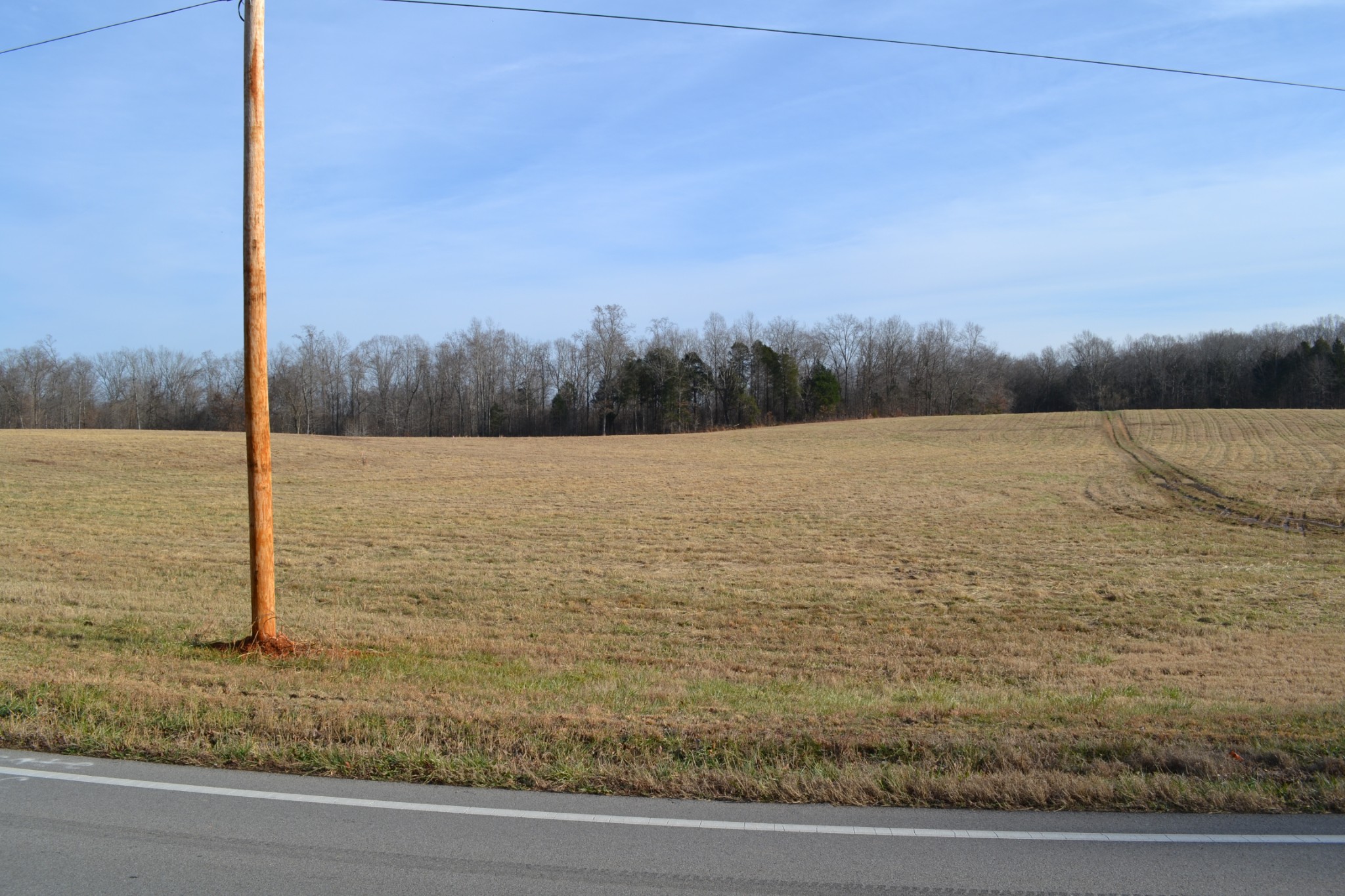4 Hayes Ridge Road Indian Mound, TN 37079 - Photo 5 of 12 Gallery Image 5