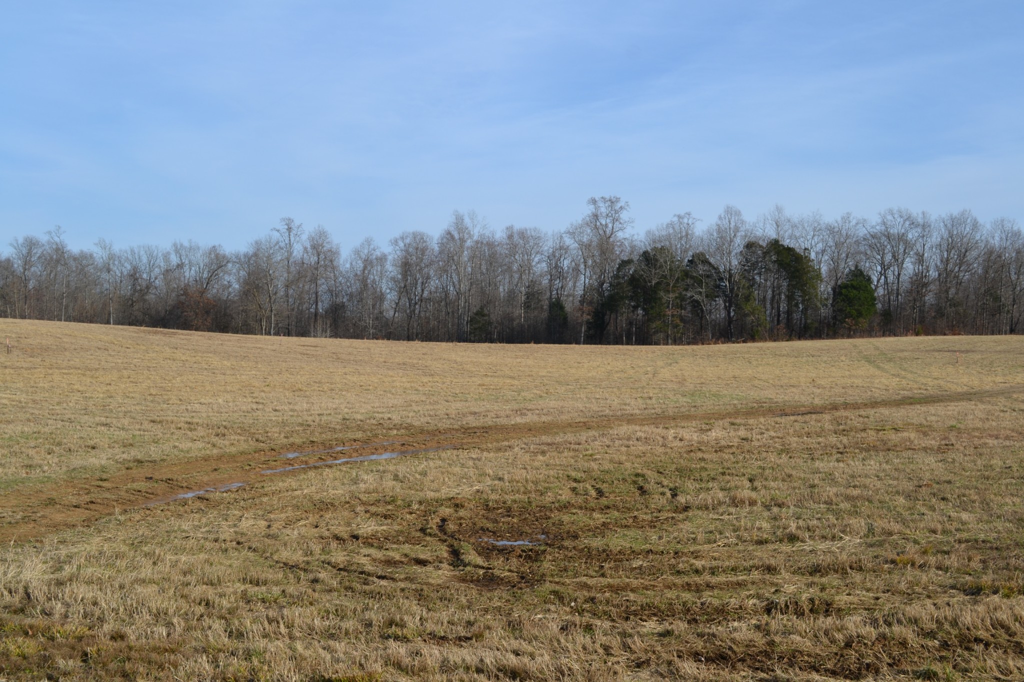 4 Hayes Ridge Road Indian Mound, TN 37079 - Photo 6 of 12 Gallery Image 6