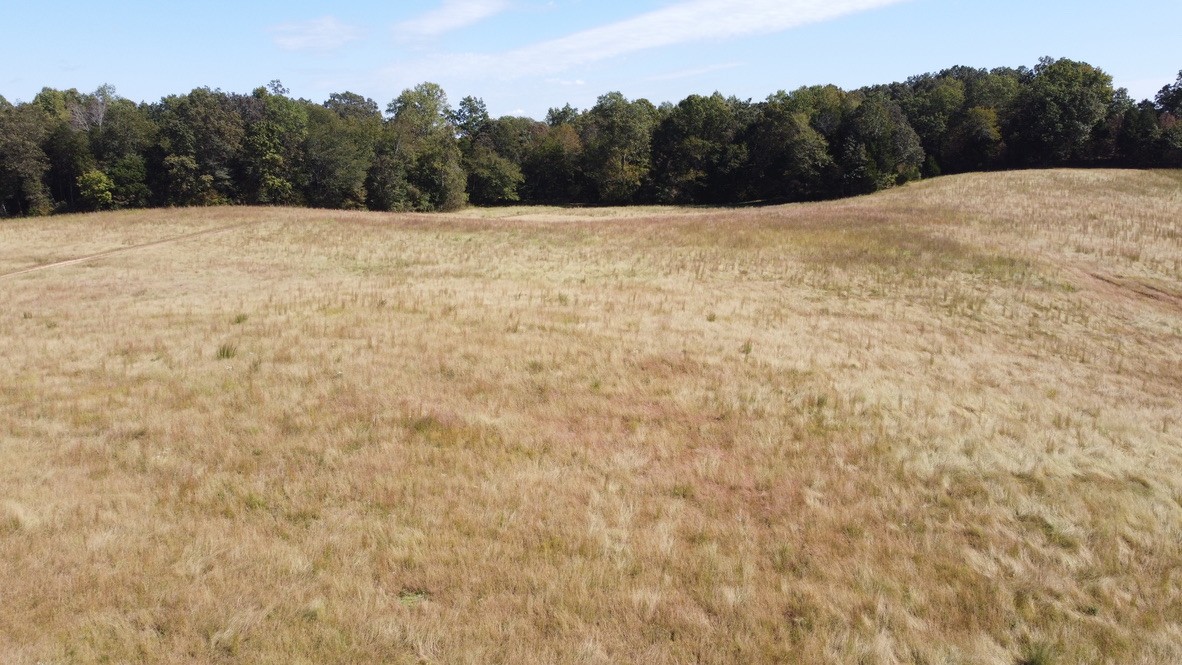 4 Hayes Ridge Road Indian Mound, TN 37079 - Photo 7 of 12 Gallery Image 7