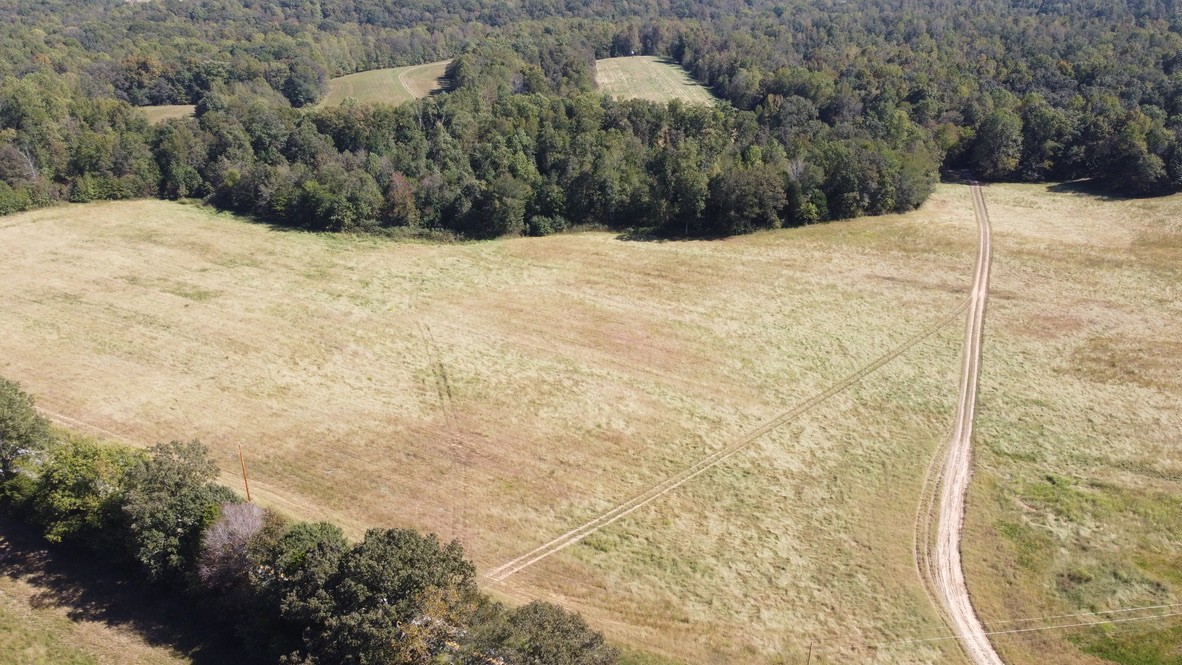 4 Hayes Ridge Road Indian Mound, TN 37079 - Photo 8 of 12 Gallery Image 8