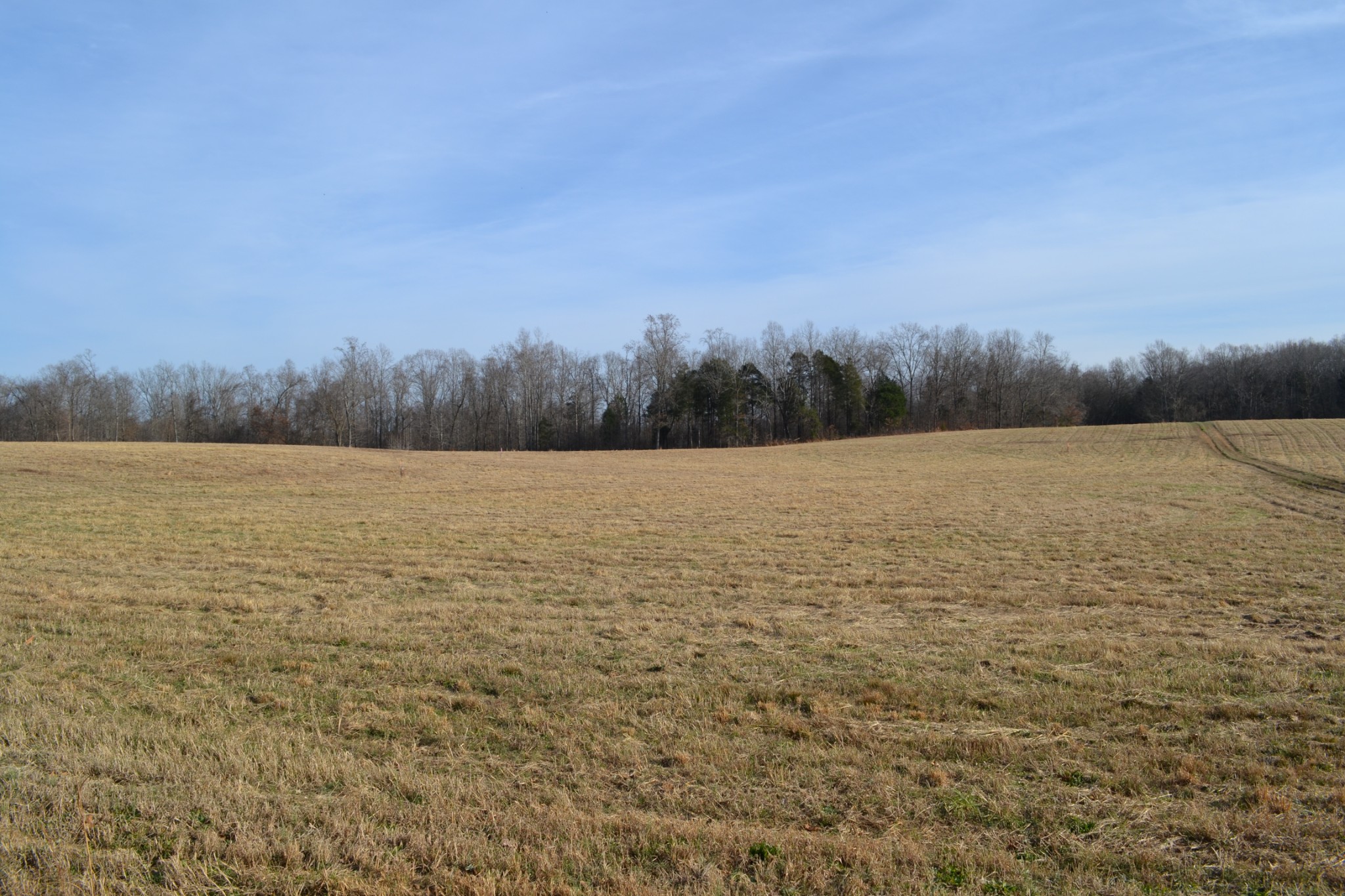4 Hayes Ridge Road Indian Mound, TN 37079 - Photo 10 of 12 Gallery Image 10