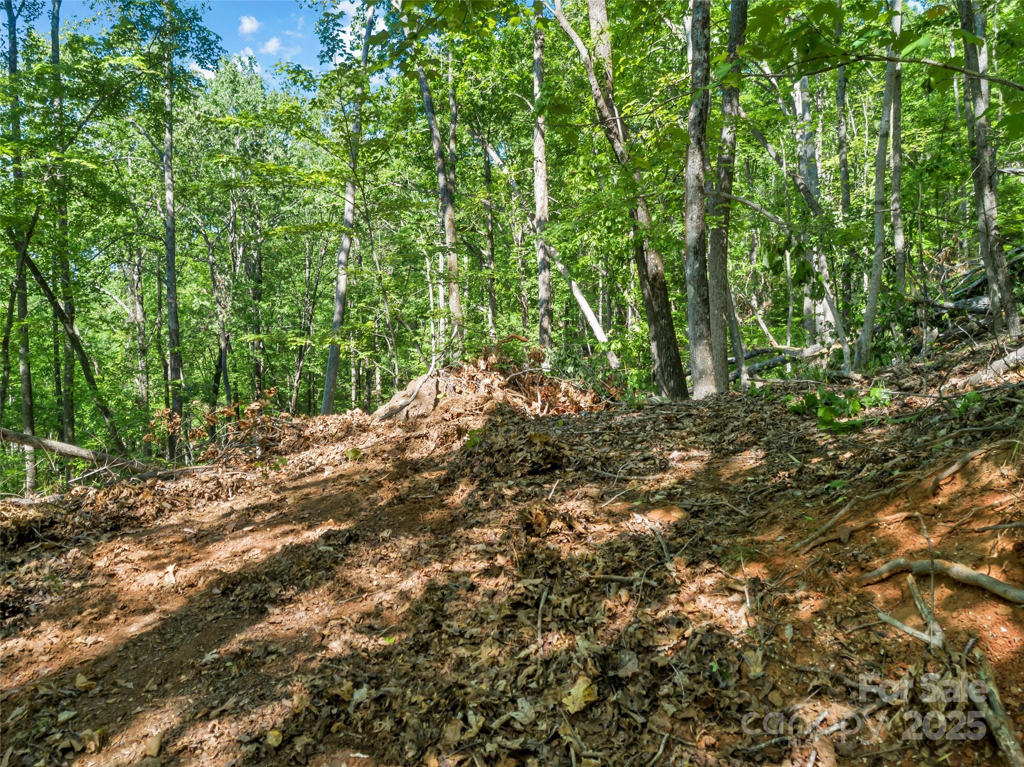 0 Maple Spring Lane Union Mills, NC 28167 - Photo 11 of 17