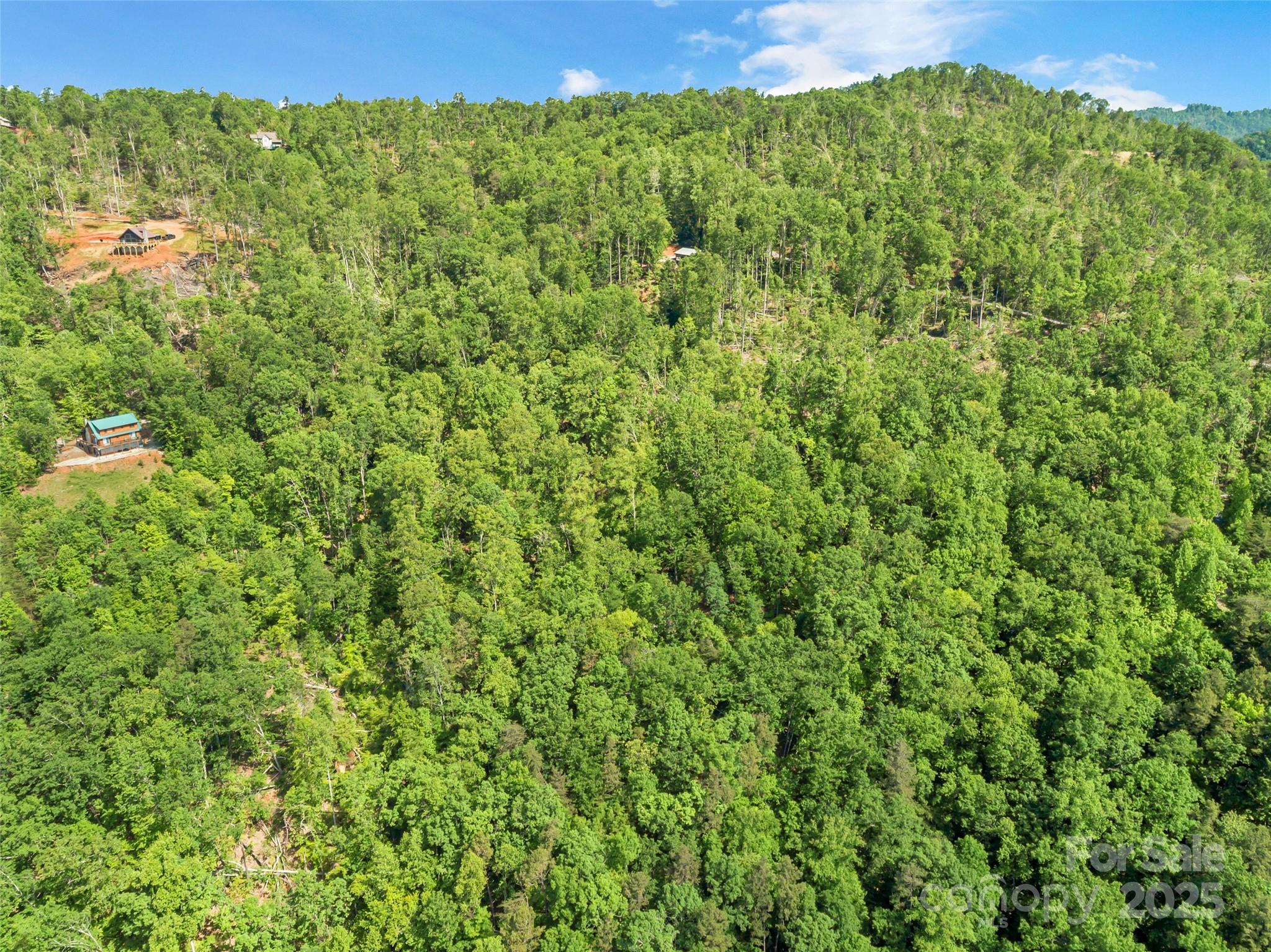 0 Maple Spring Lane Union Mills, NC 28167 - Photo 13 of 17