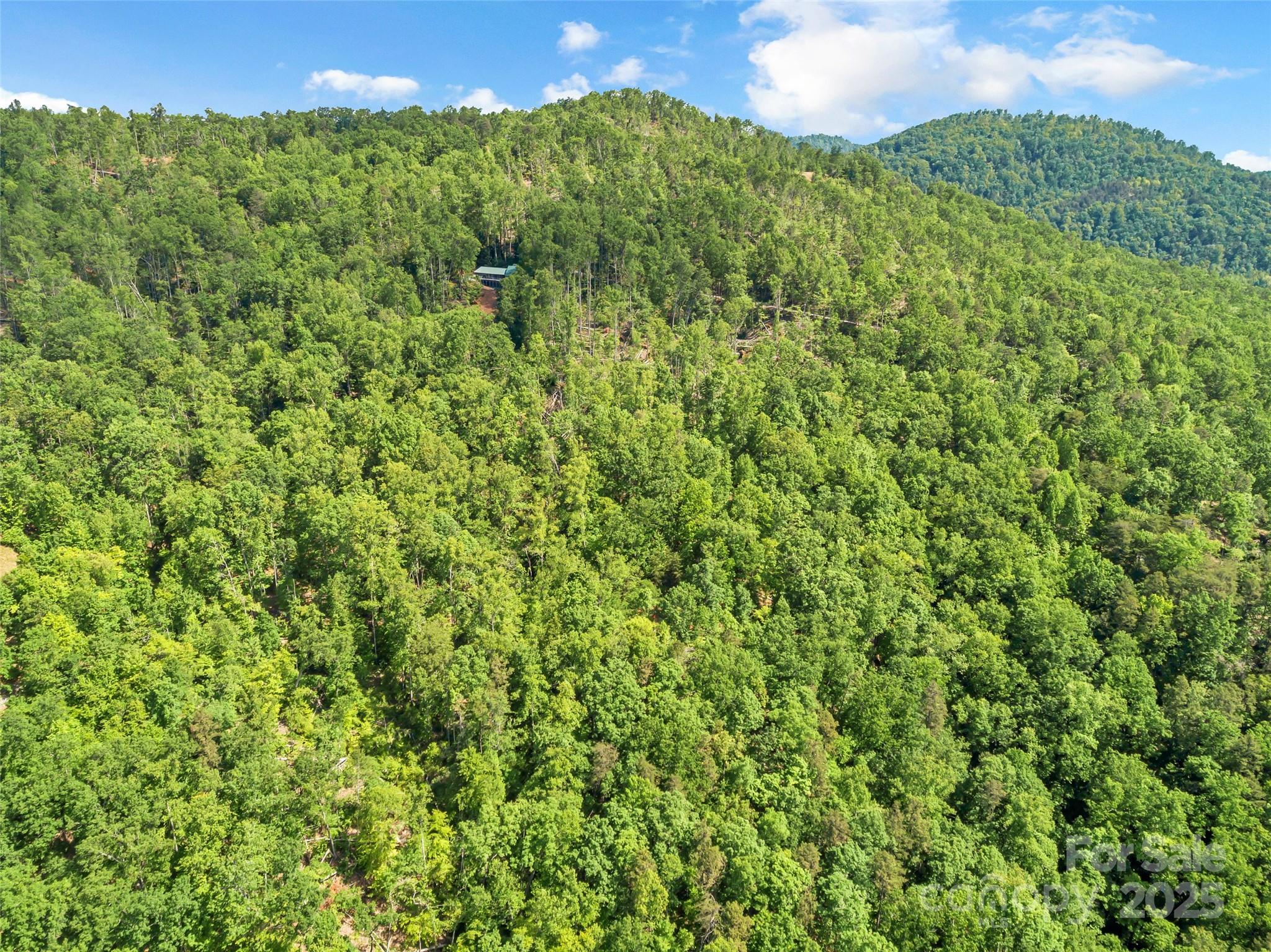 0 Maple Spring Lane Union Mills, NC 28167 - Photo 16 of 17