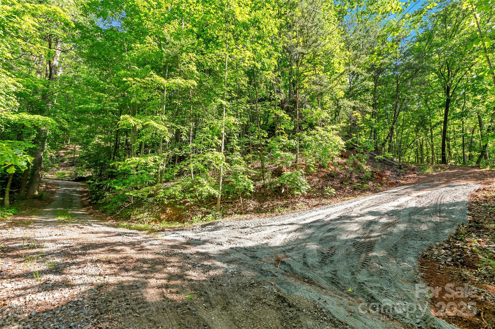 0 Maple Spring Lane Union Mills, NC 28167 - Photo 3 of 17