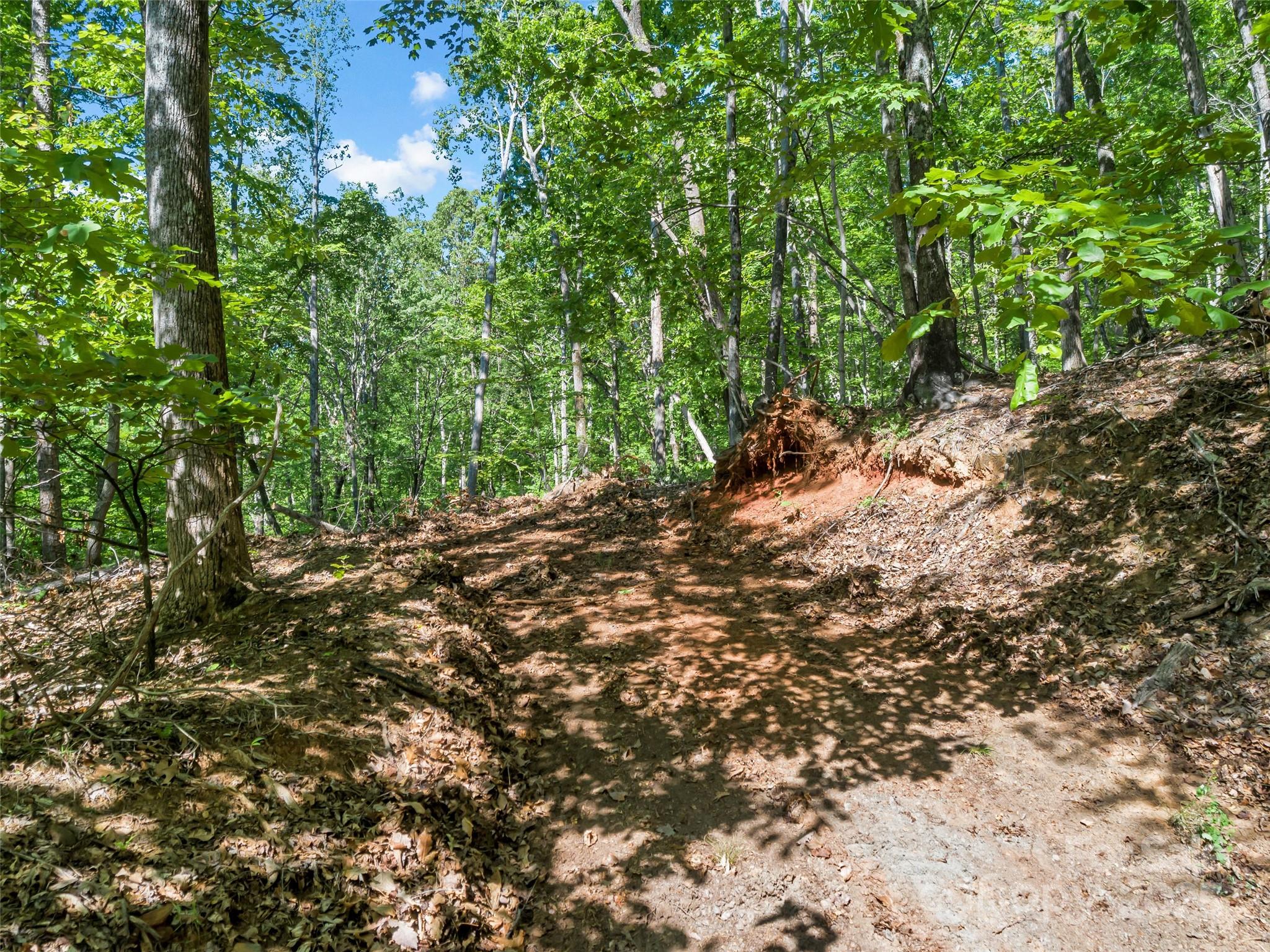 0 Maple Spring Lane Union Mills, NC 28167 - Photo 5 of 17