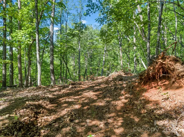 $62,500 | 0 Maple Spring Lane, Union Mills, NC 28167