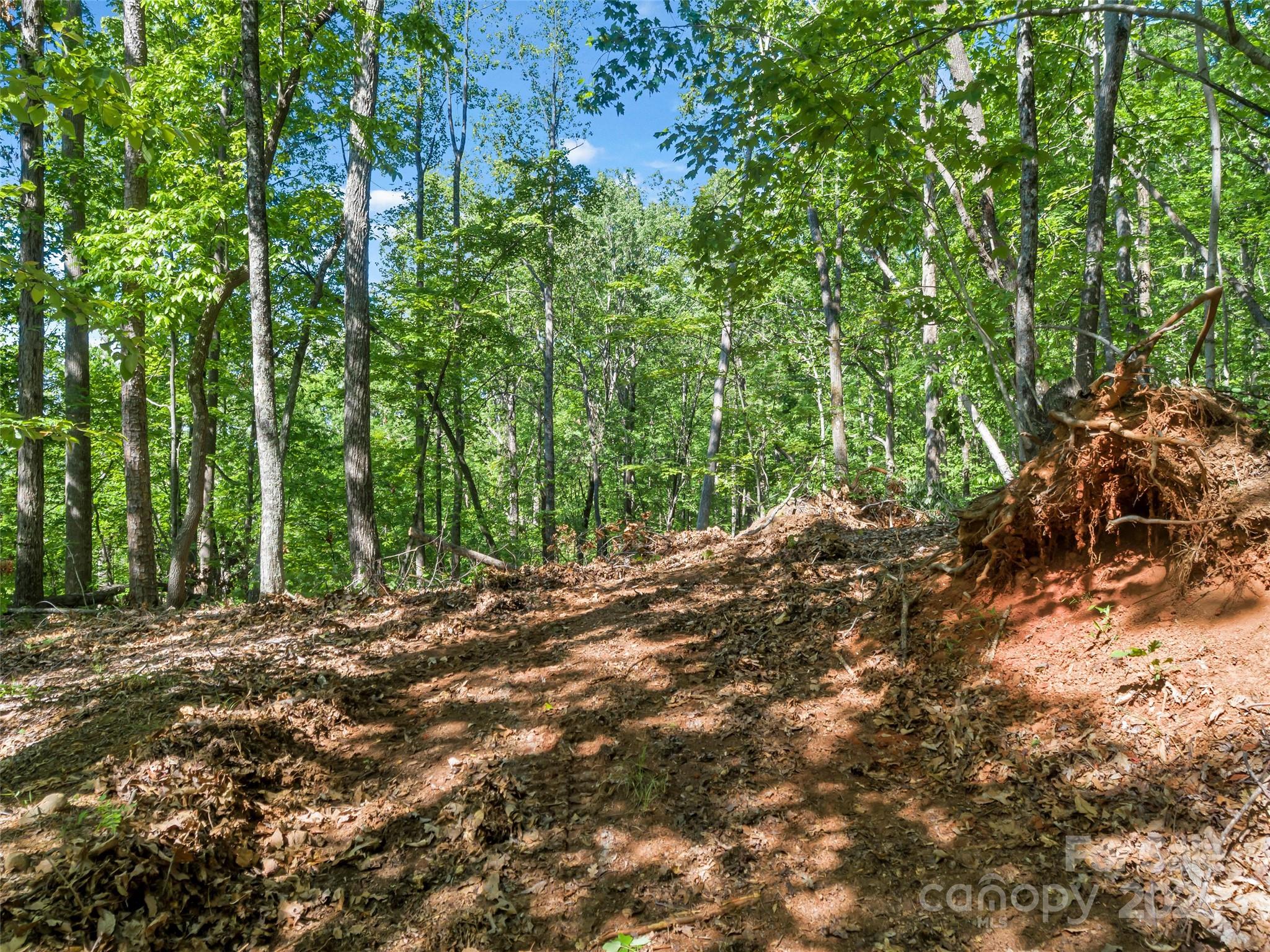 0 Maple Spring Lane Union Mills, NC 28167 - Photo 6 of 17