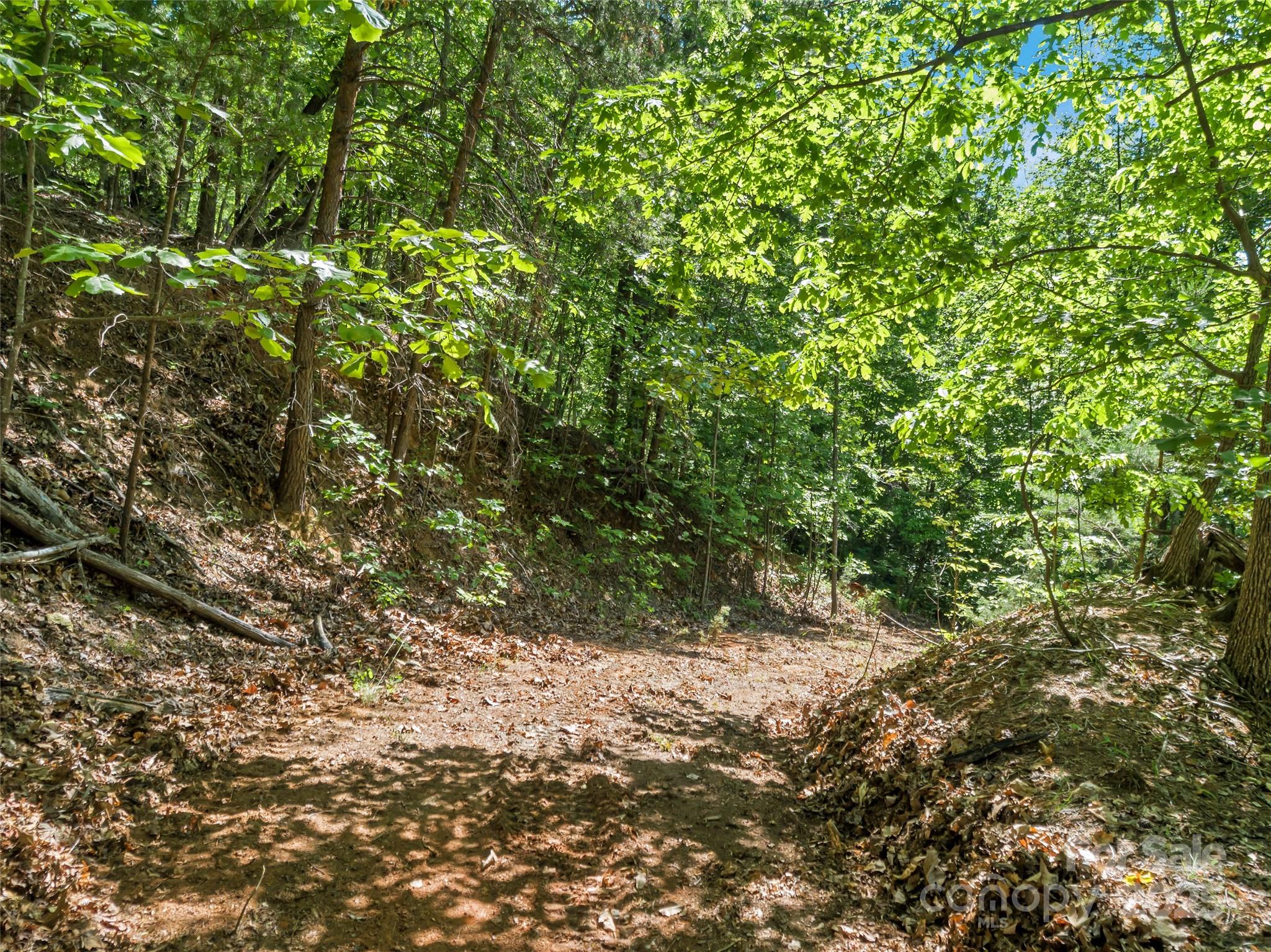 0 Maple Spring Lane Union Mills, NC 28167 - Photo 7 of 17